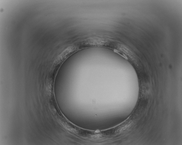 X0000067000309200603311621