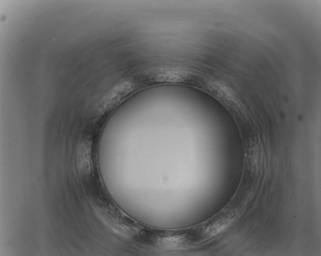 X0000067000312200603311621