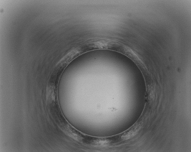 X0000067000313200603311621