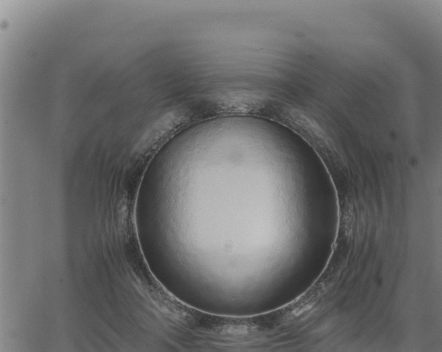 X0000067000314200603311621