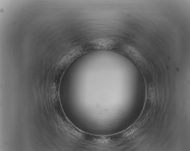 X0000067000318200603311621