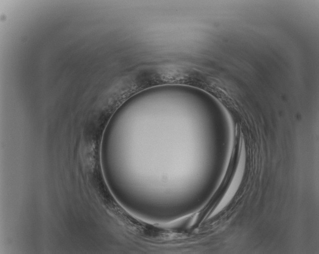 X0000067000319200603311621