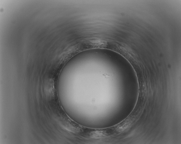 X0000067000320200603311621