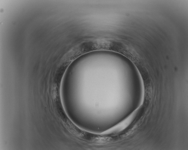 X0000067000323200603311621