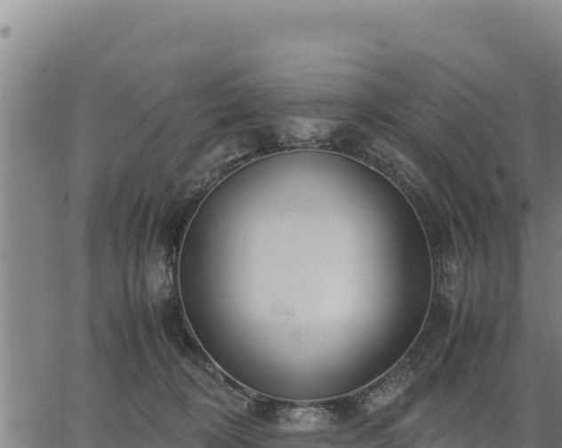 X0000067000324200603311621