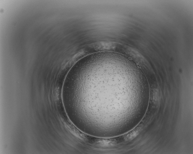 X0000067000326200603311621