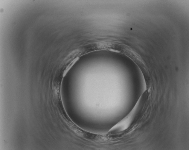 X0000067000329200603311621