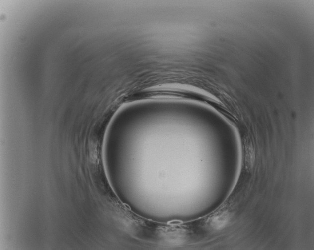 X0000067000331200603311621