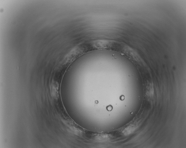 X0000067000332200603311621