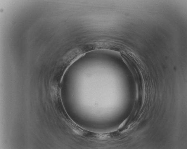 X0000067000333200603311621