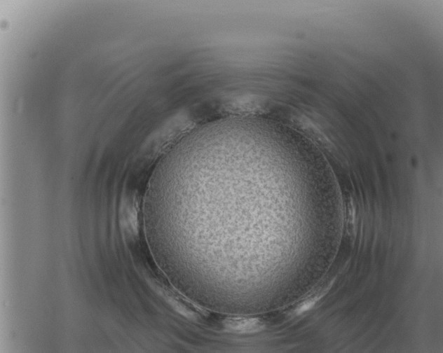 X0000067000334200603311621