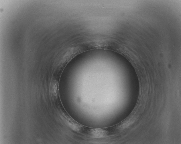 X0000067000336200603311621