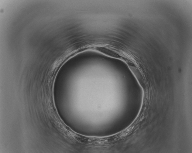 X0000067000337200603311620