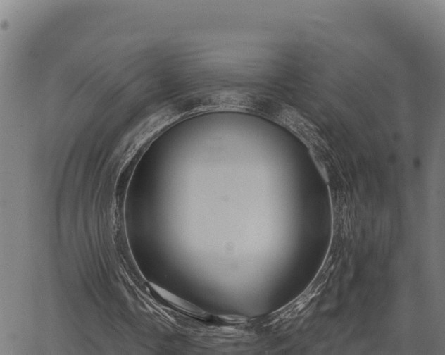 X0000067000338200603311620