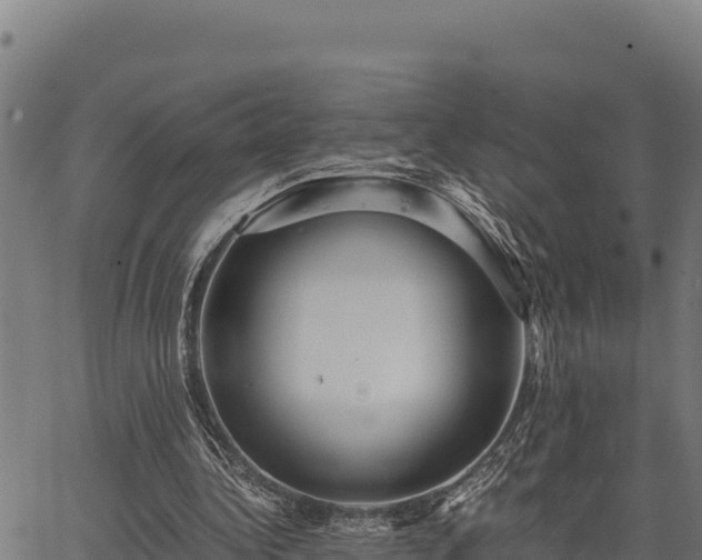 X0000067000340200603311620