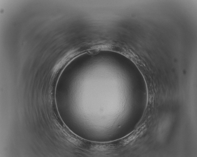 X0000067000341200603311620