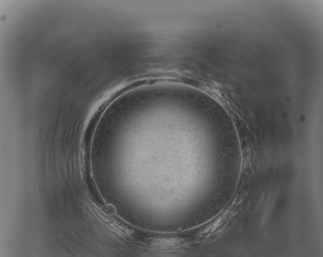 X0000067000342200603311620