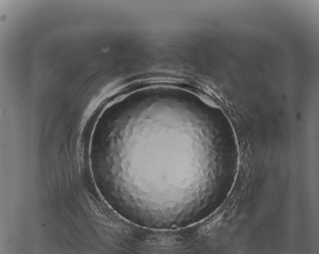 X0000067000343200603311620