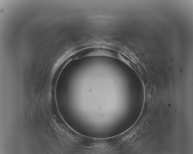 X0000067000344200603311620