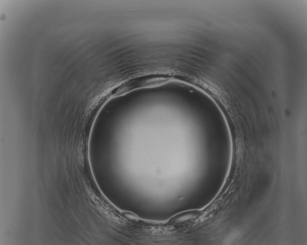 X0000067000345200603311620