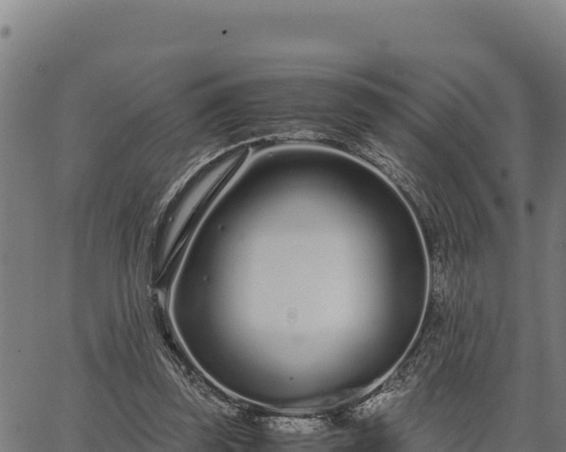 X0000067000347200603311620