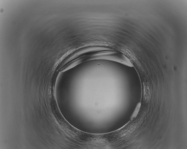 X0000067000348200603311620