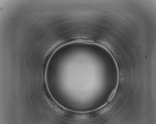 X0000067000349200603311620