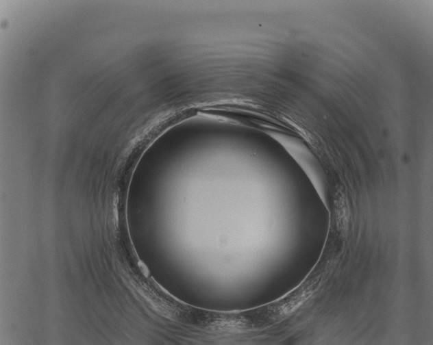 X0000067000350200603311620