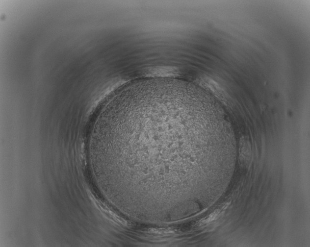 X0000067000351200603311620