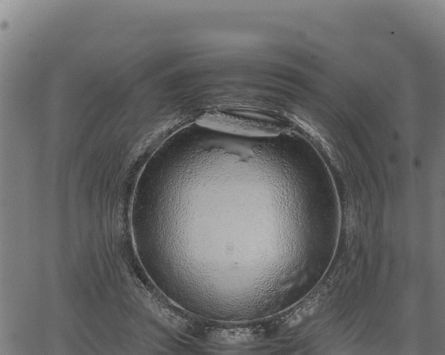 X0000067000353200603311620