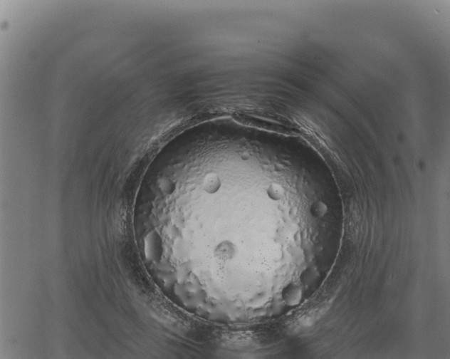 X0000067000355200603311620