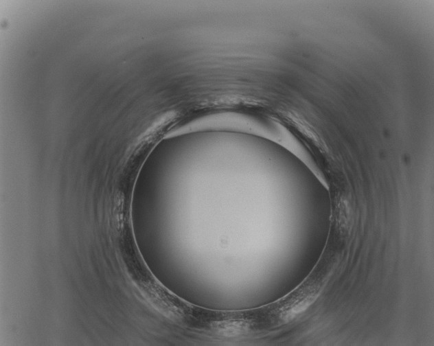 X0000067000356200603311620