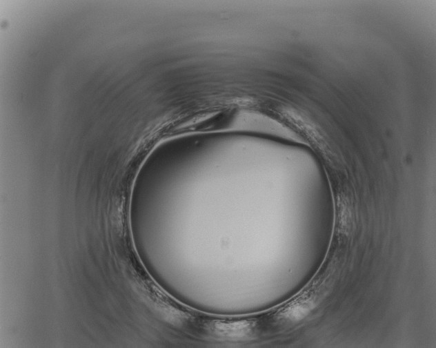 X0000067000357200603311620