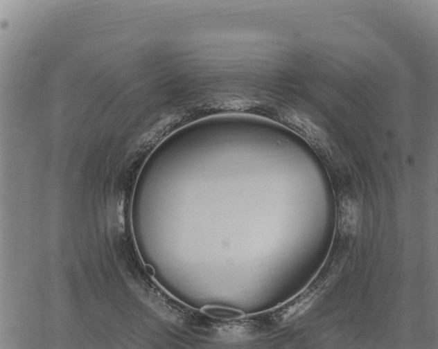 X0000067000358200603311620