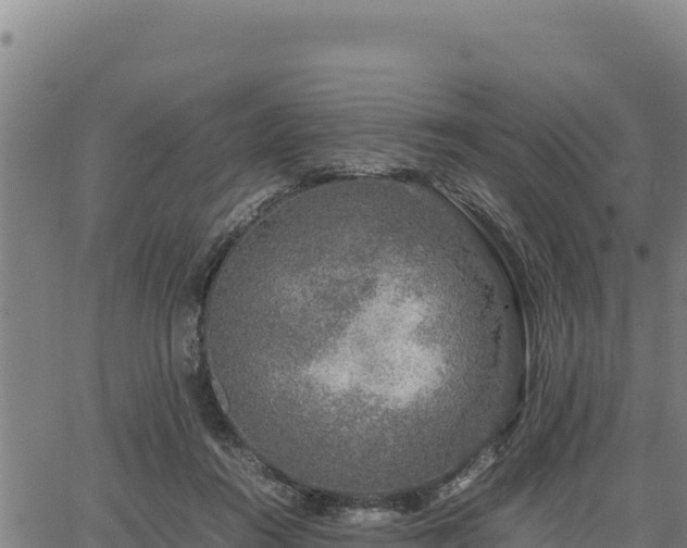 X0000067000360200603311620