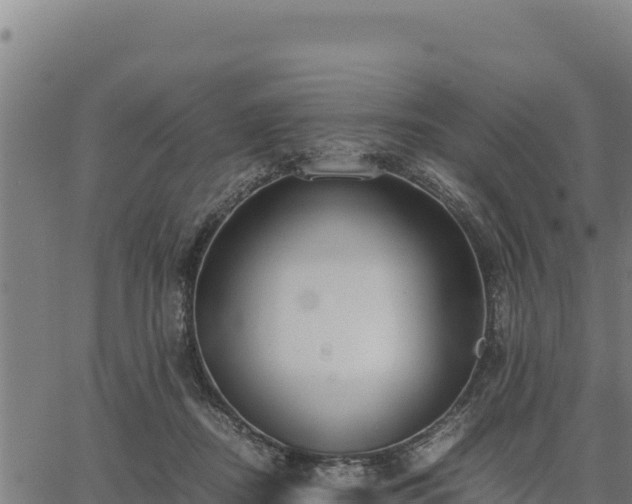 X0000067000362200603311620