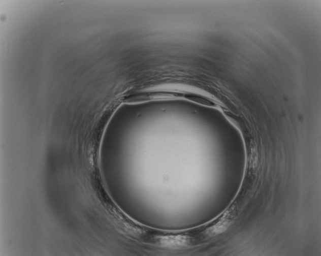 X0000067000363200603311620