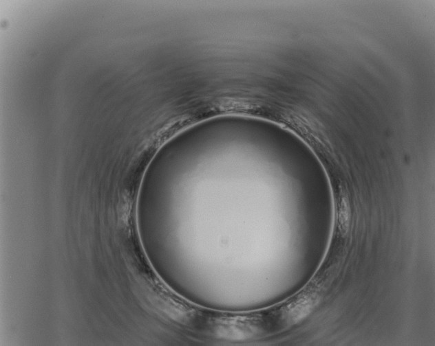 X0000067000367200603311620