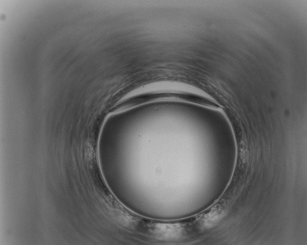 X0000067000371200603311620