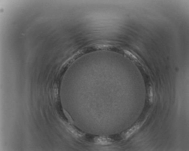 X0000067000372200603311620