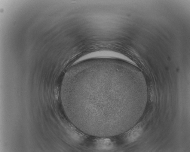 X0000067000374200603311620