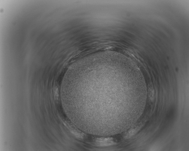 X0000067000375200603311620