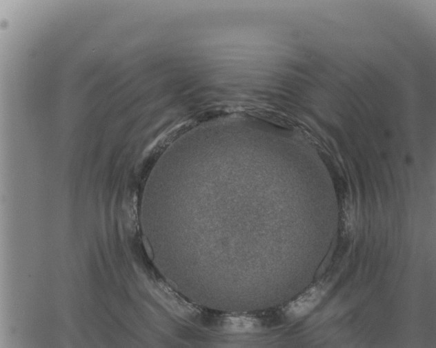 X0000067000376200603311620