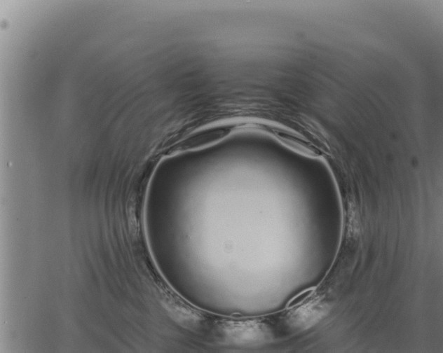 X0000067000377200603311620