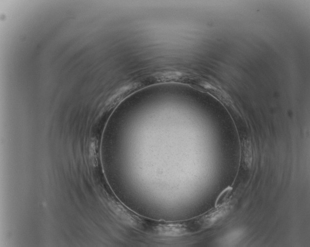 X0000067000378200603311620