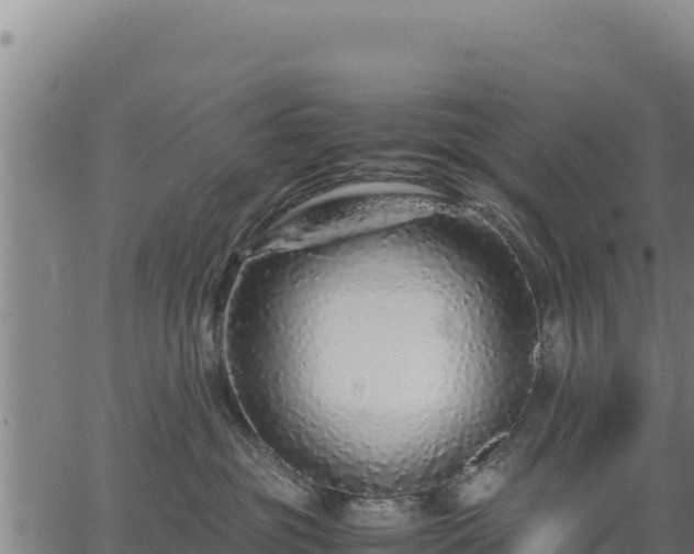 X0000067000381200603311620