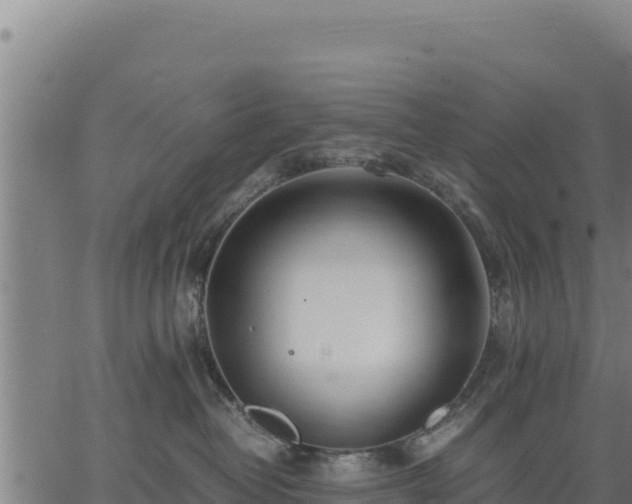 X0000067000382200603311620