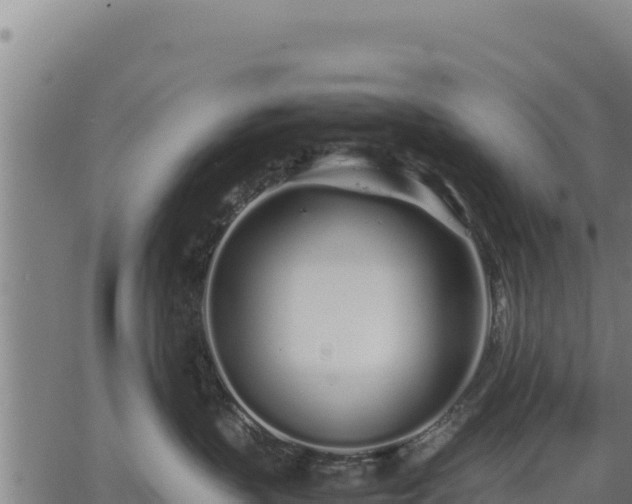 X0000067000383200603311620