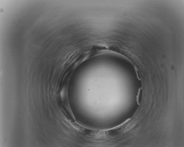 X0000067000384200603311621