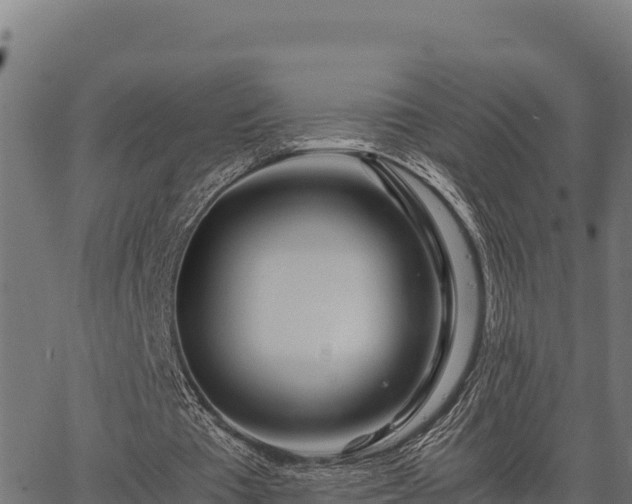 X0000067000385200603311620